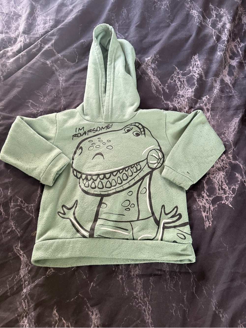 Kids' Light Green Dino Hoodie Sweatshirt - Brand Unknown